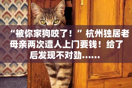 “被你家狗咬了！”杭州獨居老母親兩次遭人上門要錢！給了后發現不對勁…… 