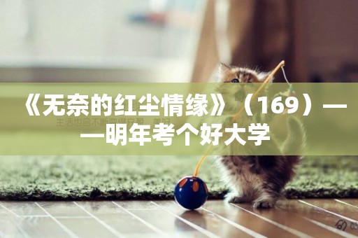 《無奈的紅塵情緣》（169）——明年考個好大學 