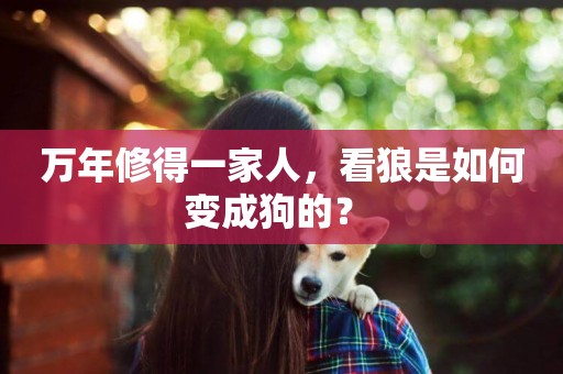 萬年修得一家人，看狼是如何變成狗的？ 