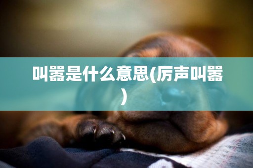叫囂是什么意思(厲聲叫囂) 