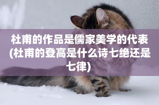 杜甫的作品是儒家美學的代表(杜甫的登高是什么詩七絕還是七律) 