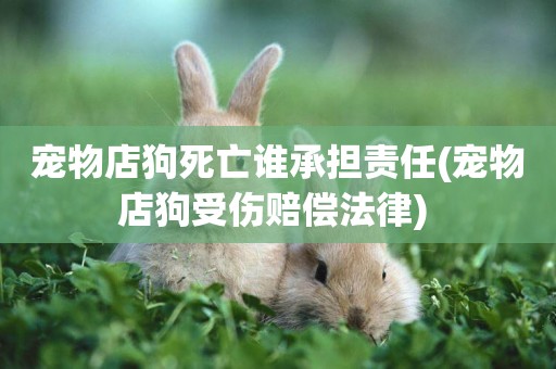寵物店狗死亡誰承擔責任(寵物店狗受傷賠償法律) 