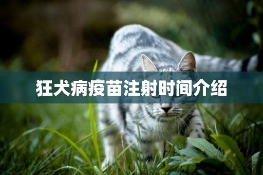 狂犬病疫苗注射時間介紹
