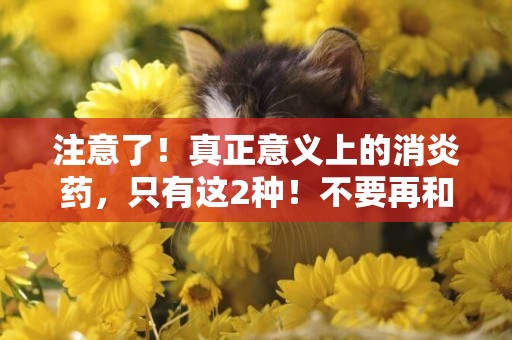 注意了！真正意義上的消炎藥，只有這2種！不要再和抗菌藥混淆了 