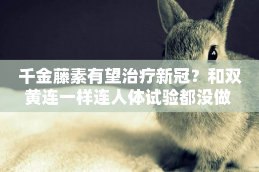 千金藤素有望治療新冠？和雙黃連一樣連人體試驗都沒做 