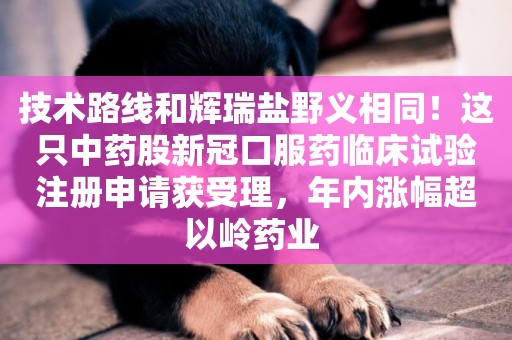 技術路線和輝瑞鹽野義相同！這只中藥股新冠口服藥臨床試驗注冊申請獲受理，年內漲幅超以嶺藥業 