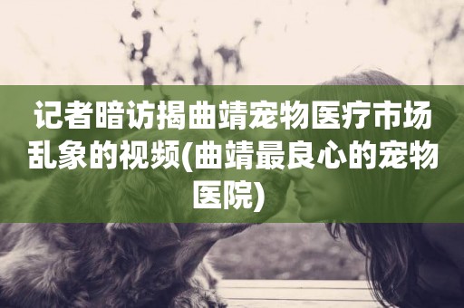 記者暗訪揭曲靖寵物醫療市場亂象的視頻(曲靖最良心的寵物醫院) 