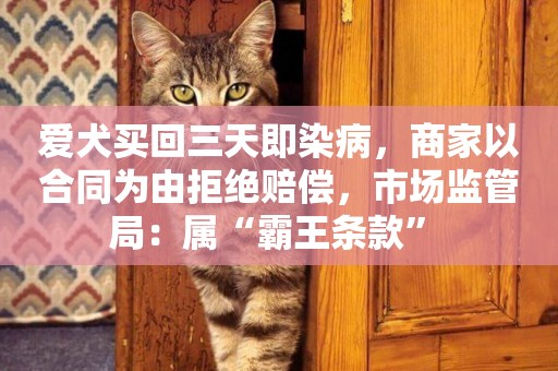 愛犬買回三天即染病，商家以合同為由拒絕賠償，市場監管局：屬“霸王條款” 