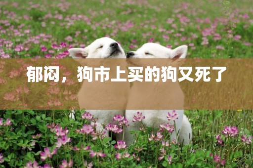 郁悶，狗市上買的狗又死了 