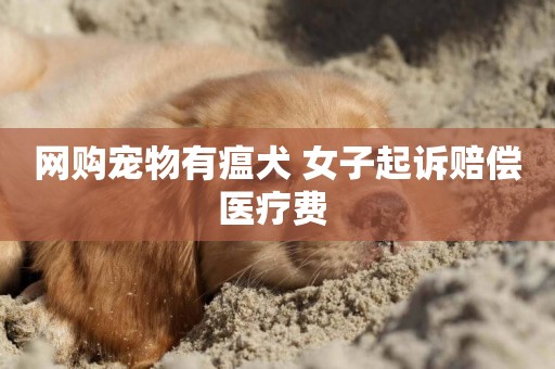 網購寵物有瘟犬 女子起訴賠償醫療費 