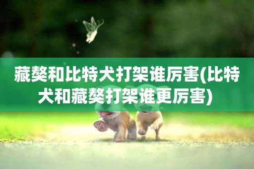 藏獒和比特犬打架誰厲害(比特犬和藏獒打架誰更厲害) 