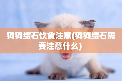 狗狗結石飲食注意(狗狗結石需要注意什么) 