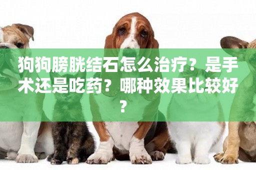 狗狗膀胱結石怎么治療？是手術還是吃藥？哪種效果比較好？ 