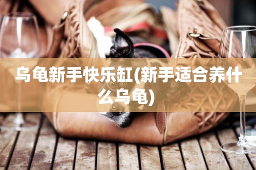 烏龜新手快樂缸(新手適合養什么烏龜) 