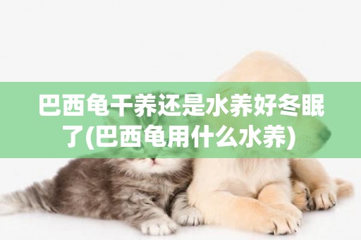 巴西龜干養還是水養好冬眠了(巴西龜用什么水養) 