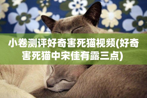 小卷測評好奇害死貓視頻(好奇害死貓中宋佳有露三點) 