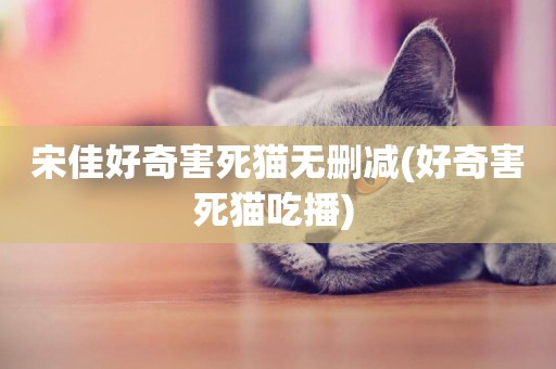 宋佳好奇害死貓無刪減(好奇害死貓吃播) 