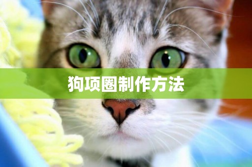 狗項圈制作方法