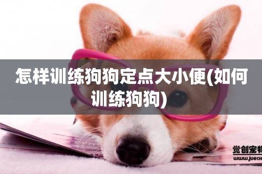 怎樣訓練狗狗定點大小便(如何訓練狗狗) 