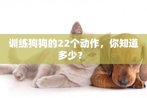 訓練狗狗的22個動作，你知道多少？ 