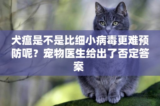犬瘟是不是比細小病毒更難預防呢？寵物醫生給出了否定答案 