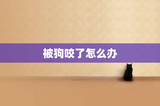 被狗咬了怎么辦