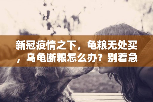新冠疫情之下，龜糧無處買，烏龜斷糧怎么辦？別著急，這里有方法 