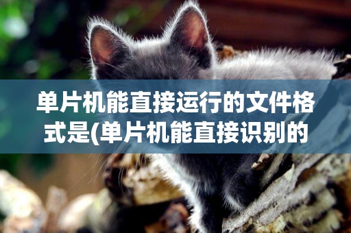 單片機能直接運行的文件格式是(單片機能直接識別的語言是) 