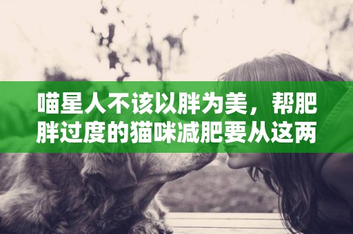 喵星人不該以胖為美，幫肥胖過度的貓咪減肥要從這兩個方面進行 