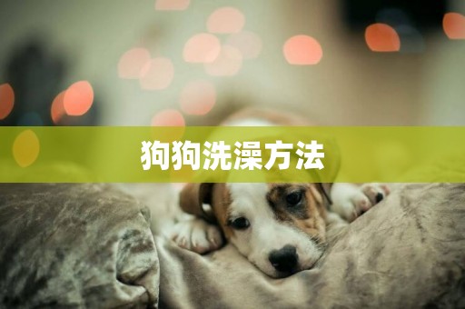 狗狗洗澡方法