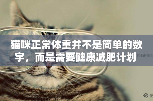 貓咪正常體重并不是簡單的數字，而是需要健康減肥計劃 