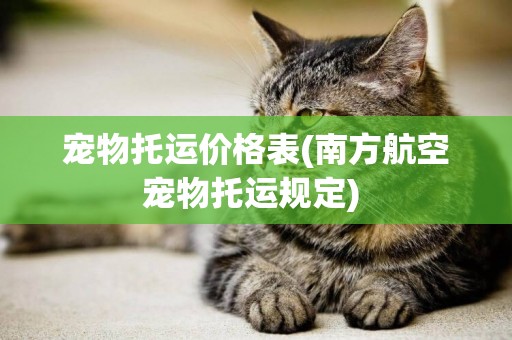 寵物托運價格表(南方航空寵物托運規定) 