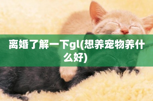 離婚了解一下gl(想養寵物養什么好) 