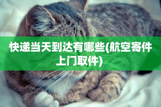 快遞當天到達有哪些(航空寄件上門取件) 