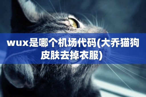 wux是哪個機場代碼(大喬貓狗皮膚去掉衣服) 