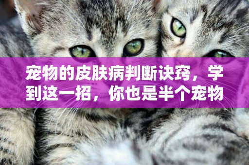 寵物的皮膚病判斷訣竅，學到這一招，你也是半個寵物醫生了 