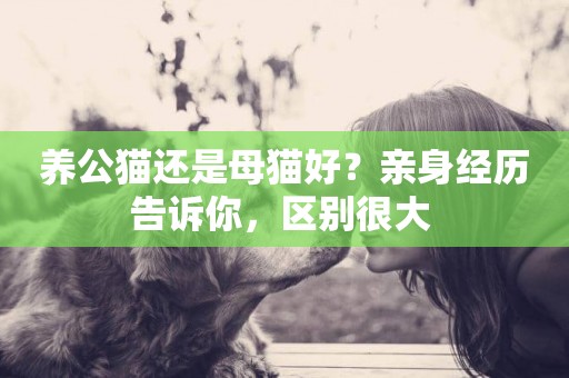 養公貓還是母貓好？親身經歷告訴你，區別很大 