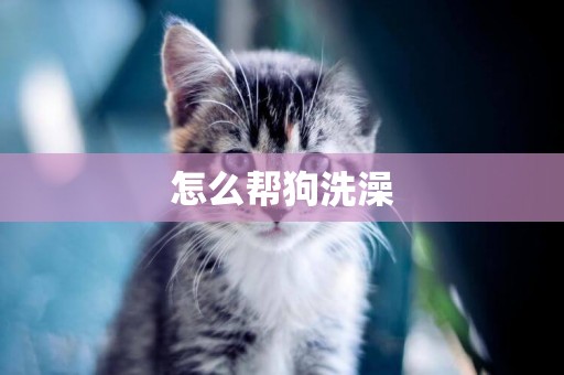 怎么幫狗洗澡