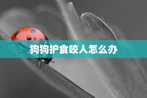 狗狗護食咬人怎么辦