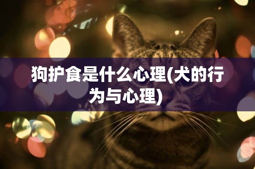 狗護食是什么心理(犬的行為與心理) 