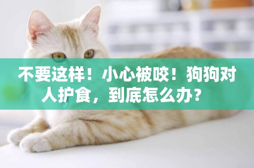 不要這樣！小心被咬！狗狗對人護食，到底怎么辦？ 