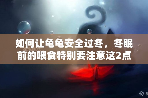 如何讓龜龜安全過冬，冬眠前的喂食特別要注意這2點 