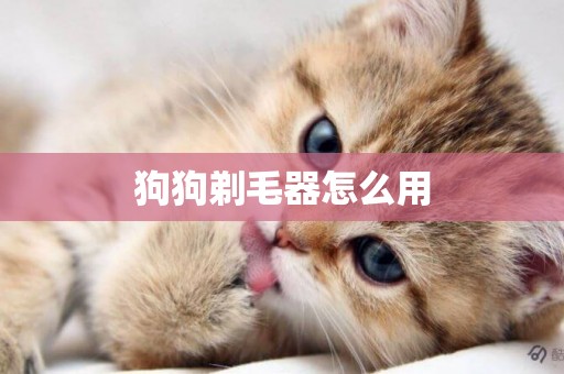 狗狗剃毛器怎么用