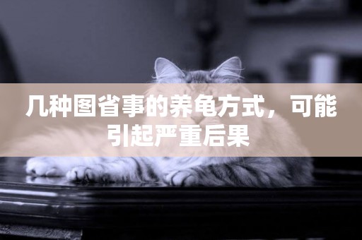 幾種圖省事的養龜方式，可能引起嚴重后果 