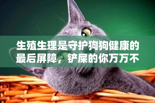 生殖生理是守護狗狗健康的最后屏障，鏟屎的你萬萬不能忽略哦！ 