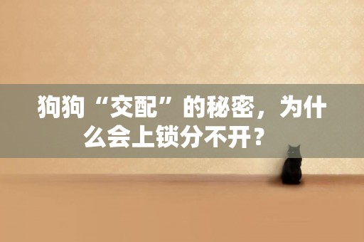 狗狗“交配”的秘密，為什么會上鎖分不開？ 