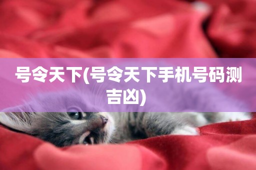 號令天下(號令天下手機號碼測吉兇) 