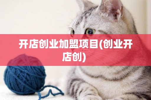 開店創業加盟項目(創業開店創) 