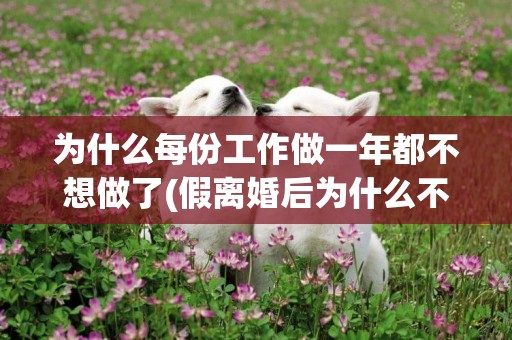 為什么每份工作做一年都不想做了(假離婚后為什么不想復婚) 
