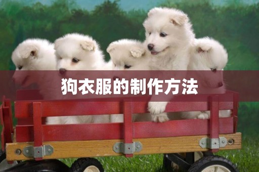 狗衣服的制作方法